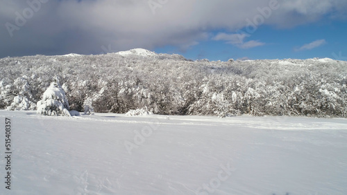 Fantastic winter landscape of high mountain and snowy forest on cloudy, blue sky background. Shot. Sunny day in white, winter rocks and trees covered with snow against bright sky.