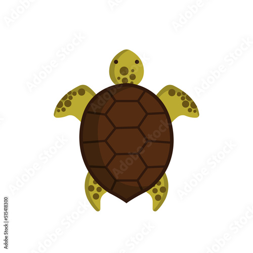 Turtle top view isolated on white background.Turtle icon. Marine life concept. Vector stock