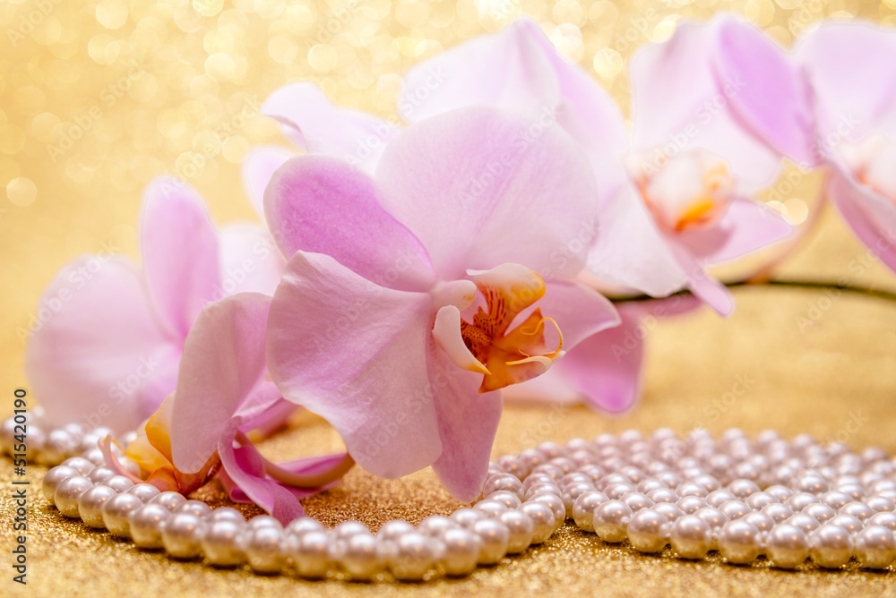 purple Orchid and pearl necklace on a shiny gold background
purple Orchid and pearl necklace on a shiny gold background