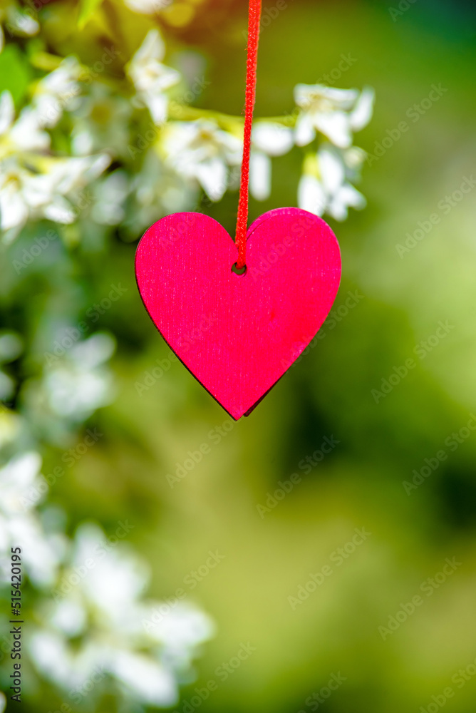 Two red hearts on a background of white Jasmine flowers
Two red hearts on a background of white Jasmine flowers