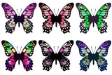 ピンクや緑の羽の6羽の蝶
