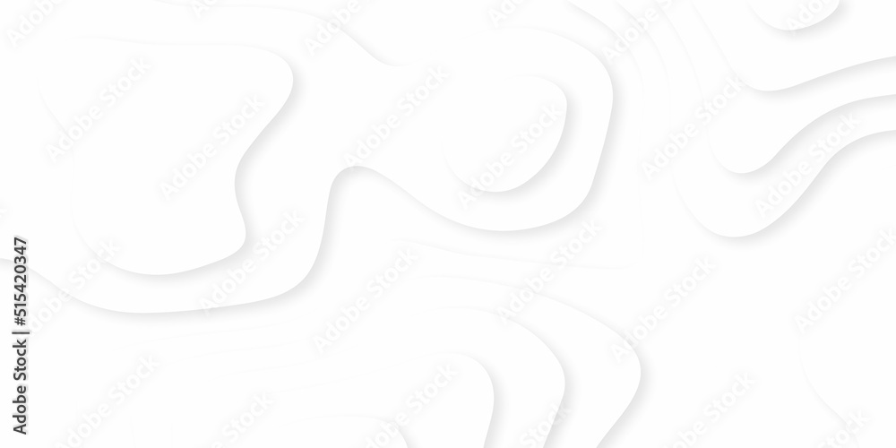 Abstracts Luxury paper cut background, Abstract decoration, white pattern gradients, 3d Vector illustration, topographic canyon map light relief texture, curved layers and shadow.