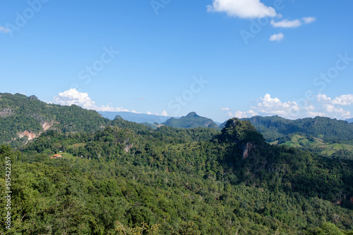 The plantation area of the hill tribe is on the limestone mountain