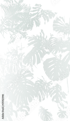 shadows, overlay effects mock up, leaf of plants, natural interior light, vector illustration