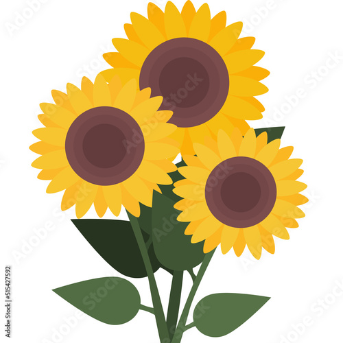 Illustrator vector of a bunch of sunflowers, colorful sunflower 