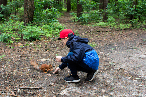 boy feeding a squirrel in the forest