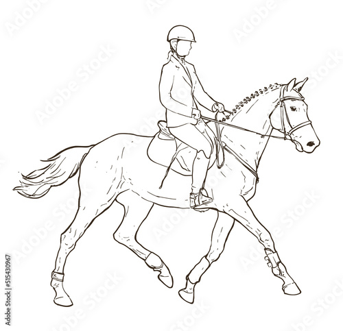 Horseback rider outline drawing on white, hand drawn illustration on equestrian sports theme, horse and young female sketch © Ghen