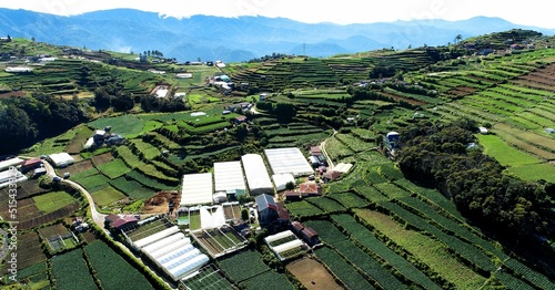 Beautiful view of houses in a green agricultural field in Atok, Benguet, Philippines photo