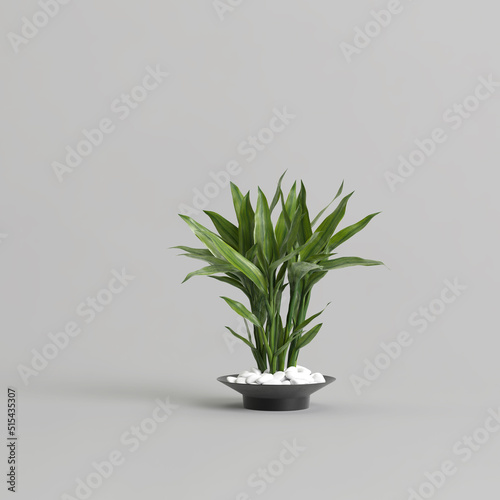 3d illustration of plant decoration in vase isolated on white background