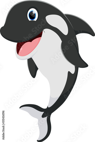 Cute killer whale cartoon isolated on white background