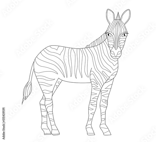 lovely zebra for your coloring book