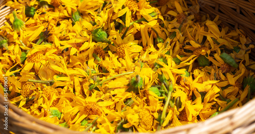 the color of the arnica petals photo