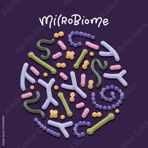 Probiotics microbiome concept. Bifidobacterium, lactobacillus, streptococcus thermophilus, lactococcus, propionibacterium. Microbiota. Gastrointestinal health. Lactic acid bacterium. Vector photo