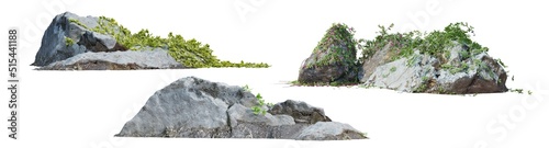 A stone with ivy on a white background. photo