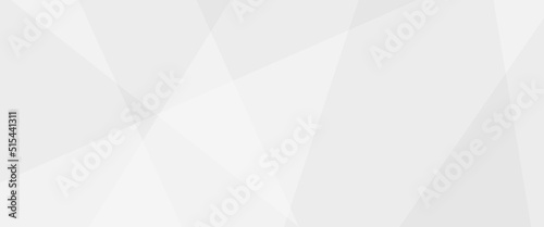 Abstract background with gray background with texture, white abstract modern background. Geometry shine and layer element vector for presentation design. Decorative web layout or poster, banner.design