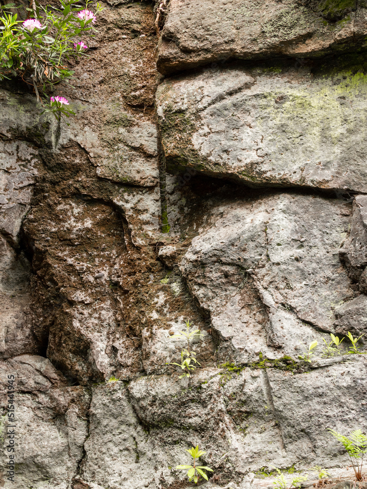 Uniusual sandstone rock formations at The Edge, Alderley Edge, Cheshire, UK Uniusual sandstone rock formations at The Edge, Alderley Edge, Cheshire, UK