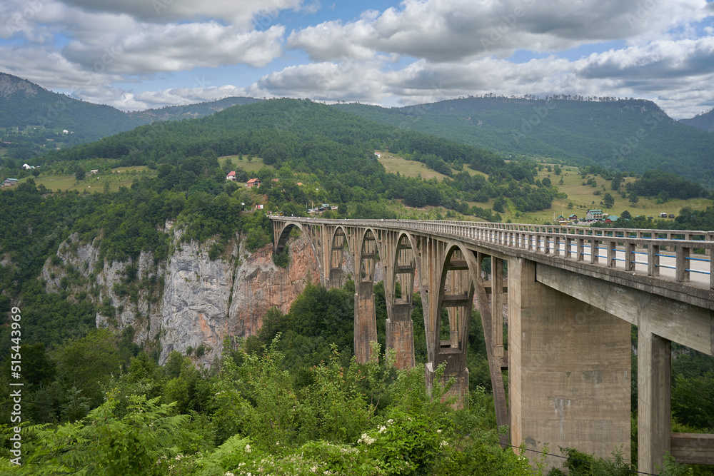 Reinforced concrete bridge over Tara river in mountains. Djurdjevic Bridge