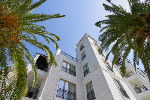 View of a luxury residential building through palm trees, housing concept