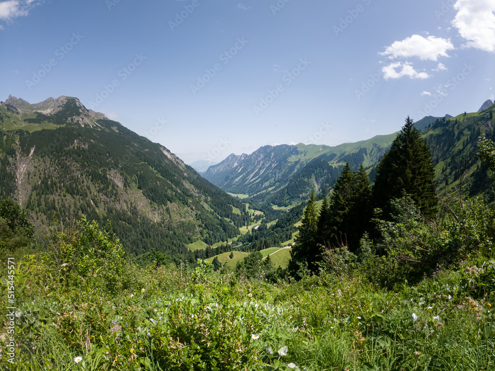 Green landscape in the alps of the Allgäu in Germany