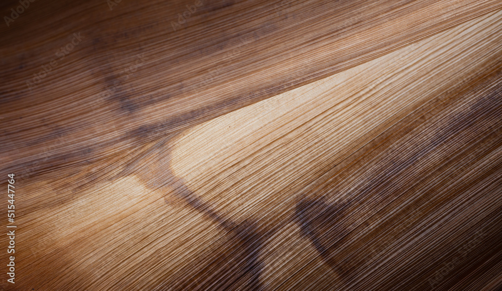 Fototapeta premium Abstract pattern background image in nature. Beautiful lines and textures.