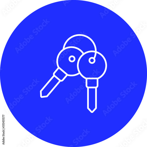 Keys Vector Icon