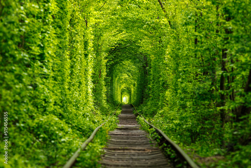 a railway in the spring forest. Tunnel of Love