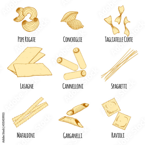 Hand drawn italian pasta set. Different types of traditional italian cuisine in sketch style. Pipe rigate, conchiglie, tagliatelle corte, lasagne, cannelloni, spaghetti, mafaldini, garganelli, ravioli