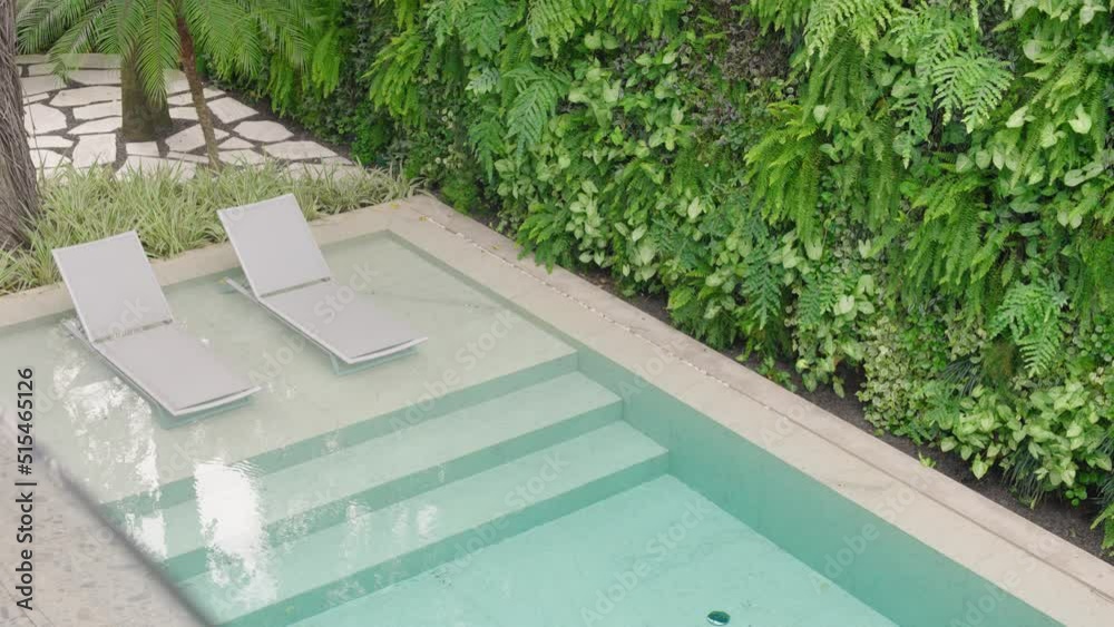 house pool with a vertical garden behind

