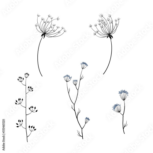 Fototapeta Naklejka Na Ścianę i Meble -  Set of watercolor and line art wildflowers. This art is perfect for invitation cards, spring decor, greeting cards, logo design, , posters, scrapbooking, print, wallpaper, wrapping paper, textile, 