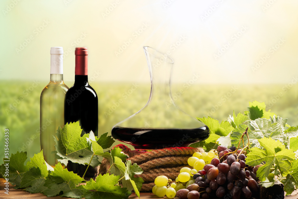Two bottles of wines and Decanter  with vineyard on the background