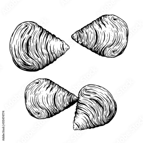 Traditional italian sweets Sfogliatelle set. Top view.  Hand drawn sketch style. Puff pastry with cream inside. Best for menu and package design. Vector illustrations.