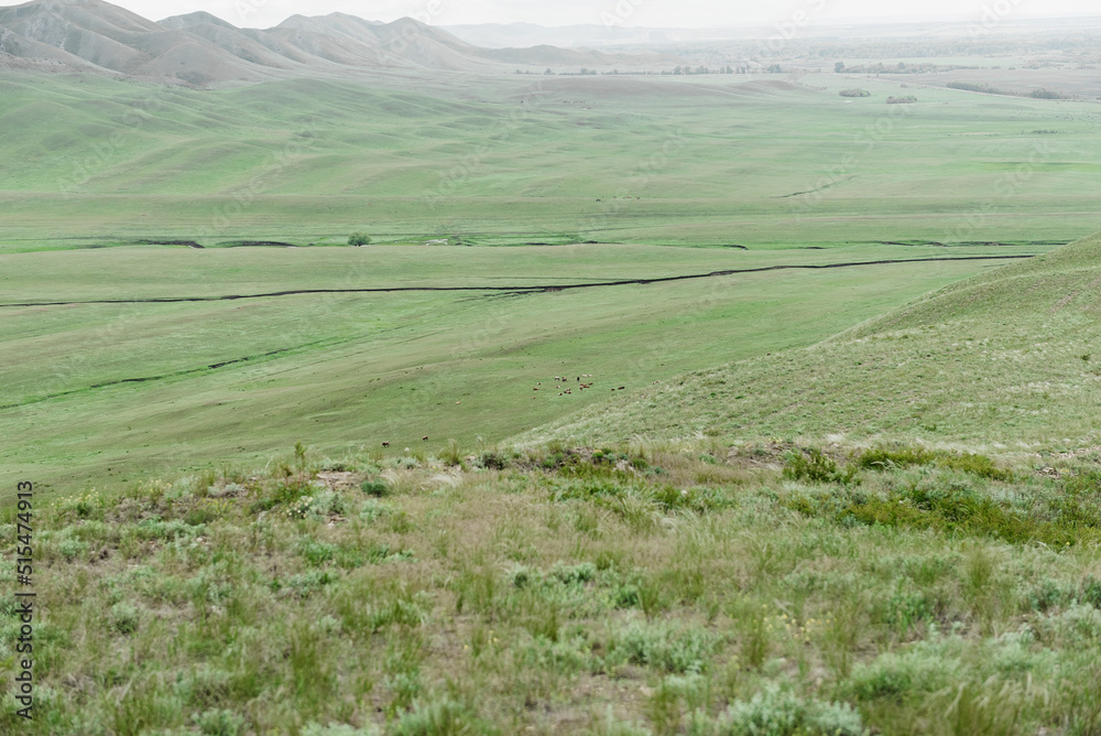Fototapeta premium mountains nature and green fields