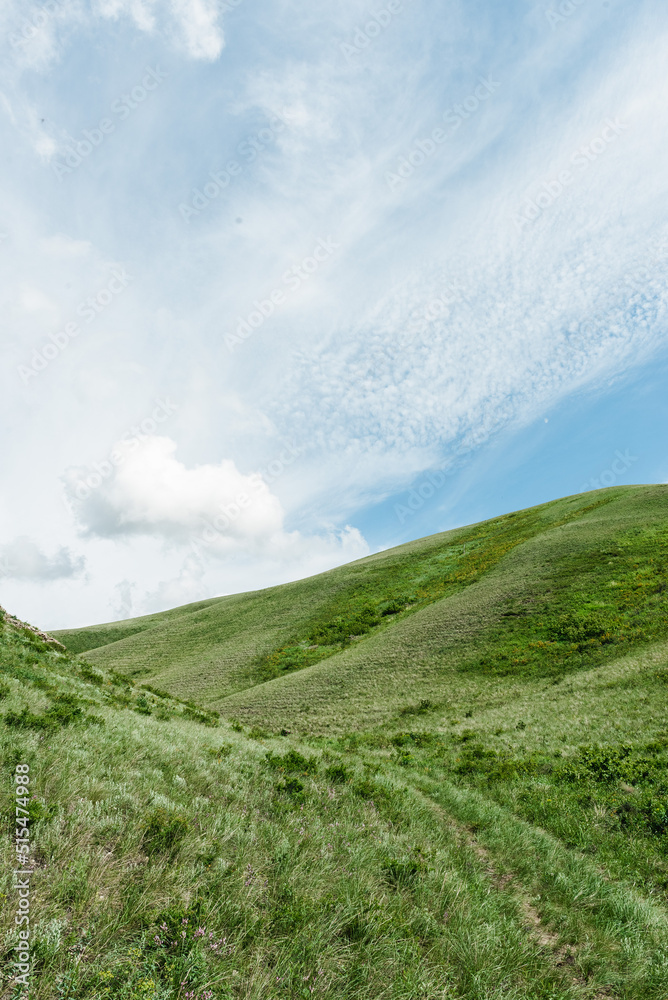 Fototapeta premium mountains nature and green fields