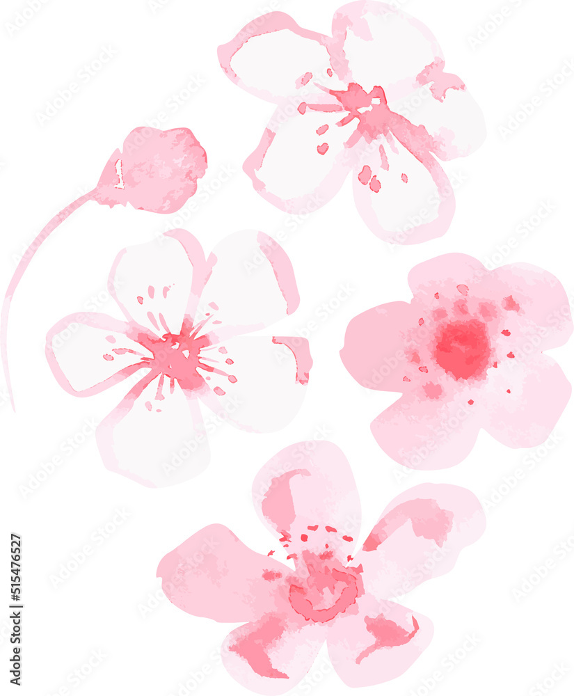 Sakura vector set. Watercolor flowers spots. Isolated on a white background.