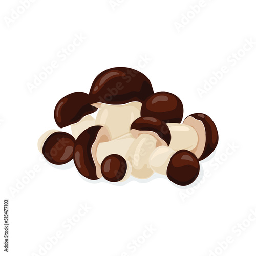 Porcini mushrooms vector illustration. Boletus edulis isolated on a white background. Autumn mushroom collection season.