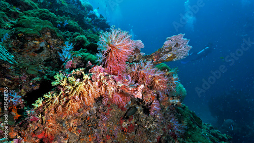 Fototapeta Naklejka Na Ścianę i Meble -  Beautiful and colorful coral reef. Underwater photo from a scuba dive in Thailand.