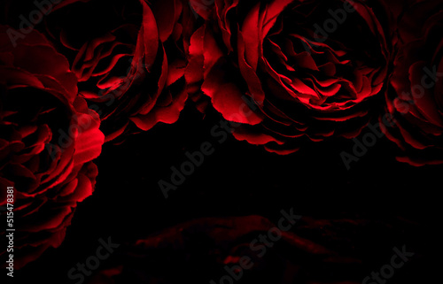 Beautiful abstract color black and red flowers on black background, light pink flower frame, pink leaves texture, dark background, valentines day, love theme, red texture