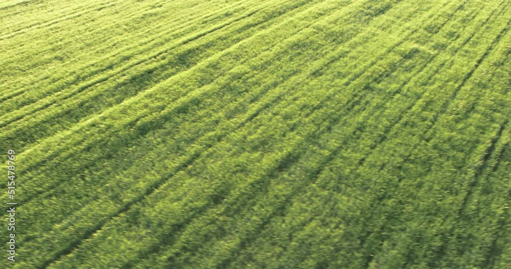 aerial view on green agriculture field aerial view on green agriculture field