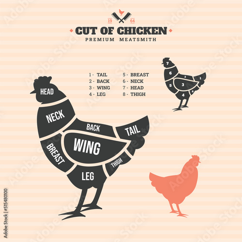 Hen of pork. Vector illustration of chicken on a colored background. Chicken parts marking	