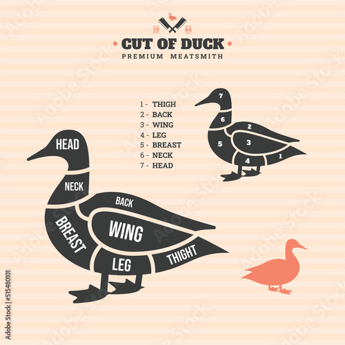 Cut of duck. Vector illustration of duck on a colored background. Duck parts marking	