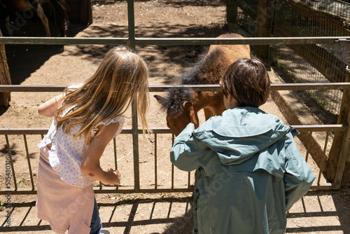 Two kids, a girl and a boy, in a zoo, seeing a foal in Gramat, France