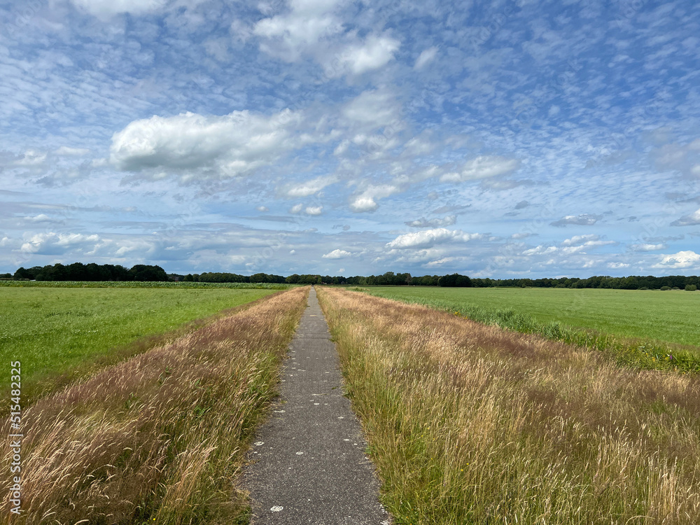 Path through the farmland around Nieuwehorne