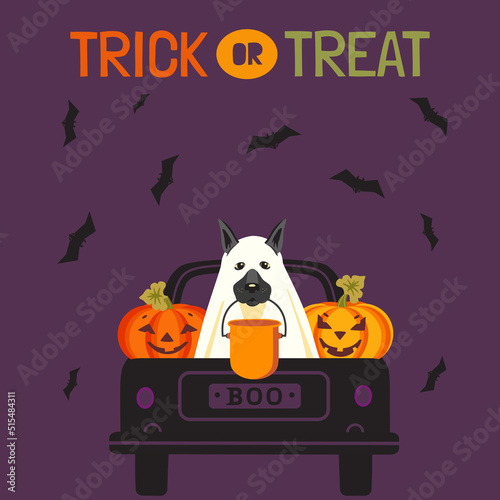 Halloween Trick or Treat cute vector illustration. Truck with Pumpkins Jack-O-lantern, bats, dog in ghost costume, Halloween bucket cartoon. Happy 31 October holiday spooky fun celebration background