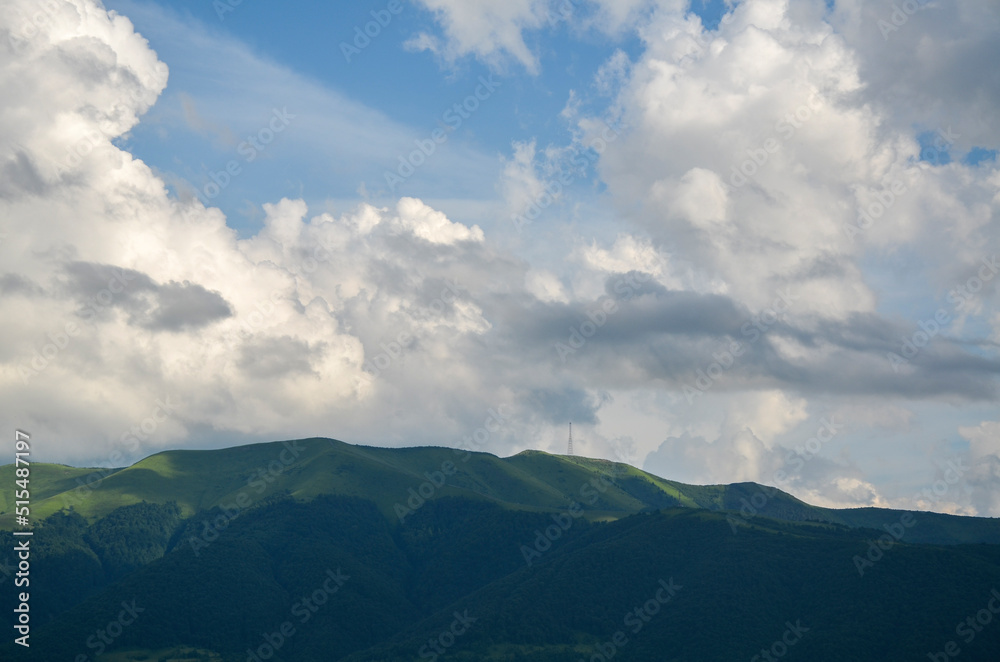 Summer landscape of mountain ridge covered with lush grass and dense forest on cloudy day. Carpathian Mountains, Ukraine