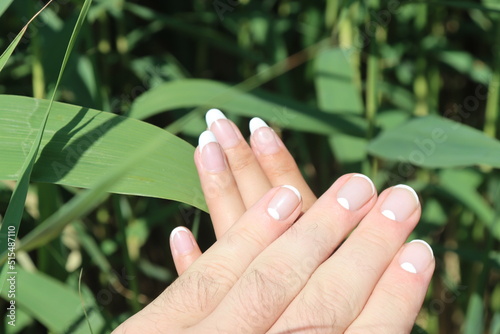 paired manicure male and female hands with French manicure on a green background of nature © Владислав Порхун