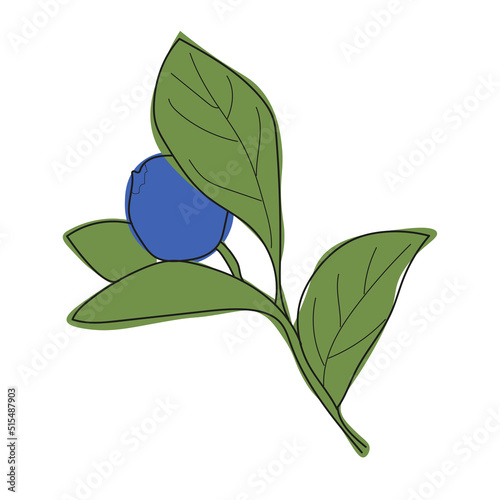 Blueberry branch minimalistic flat and line style.sprig of blueberries with leaves and berries