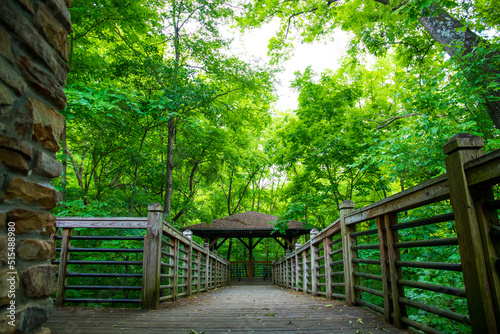 a brown wooden pergola with a brown wooden hand rail surrounded by lush green trees and plants at Heritage park in Smyrna Georgia USA photo