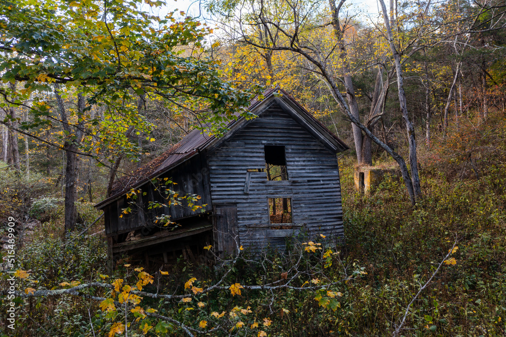 Abandoned House in Forest - Appalachian Mountain Region - West Virginia