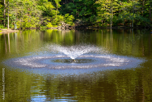 a water fountain in the center of a silky green lake surrounded by lush green trees at Dupree park in Woodstock Georgia USA photo