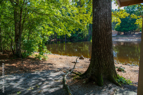 a gorgeous summer landscape in the park with a still lake surrounded by lush green trees, grass and plants with blue sky and clouds at Dupree Park in Woodstock Georgia USA photo